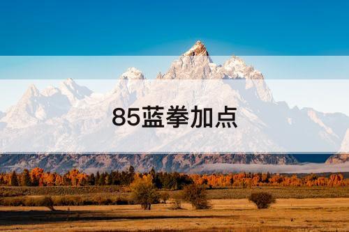85蓝拳加点