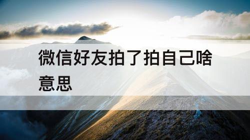 微信好友拍了拍自己啥意思