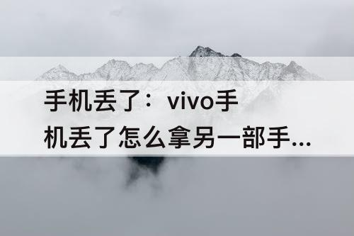 手机丢了：vivo手机丢了怎么拿另一部手机找