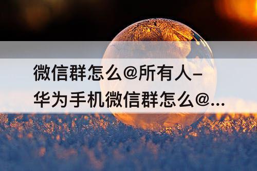 微信群怎么@所有人-华为手机微信群怎么@所有人?