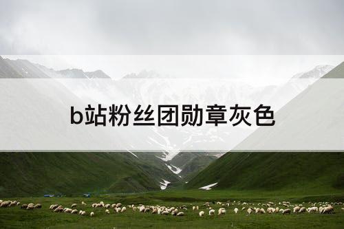 b站粉丝团勋章灰色
