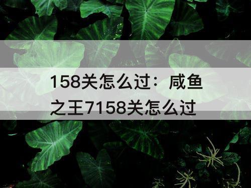158关怎么过：咸鱼之王7158关怎么过