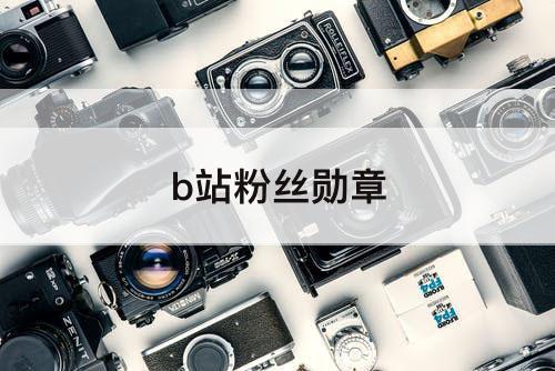 b站粉丝勋章