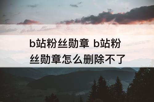 b站粉丝勋章 b站粉丝勋章怎么删除不了