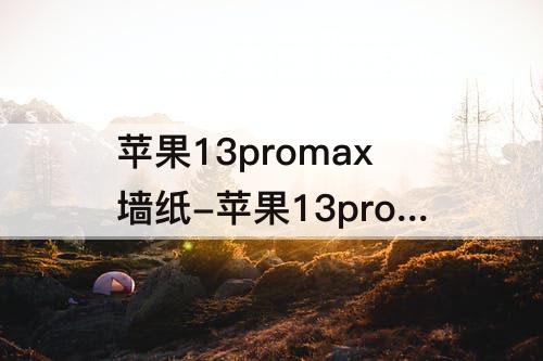 苹果13promax墙纸-苹果13promax墙纸怎么缩小