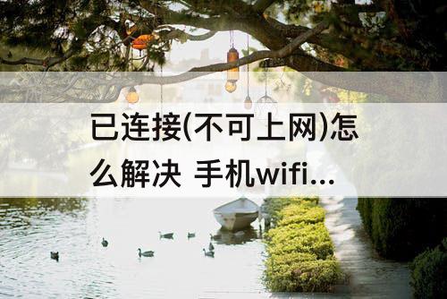 已连接(不可上网)怎么解决 手机wifi已连接(不可上网)怎么解决 荣耀50