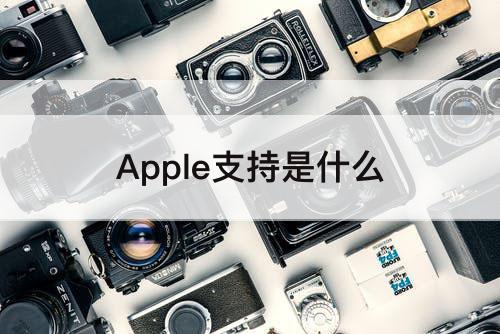 Apple支持是什么
