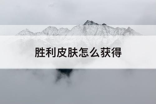 胜利皮肤怎么获得