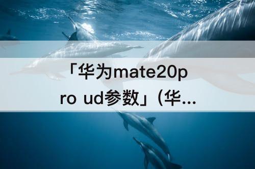 「华为mate20pro ud参数」(华为mate20pro UD参数有没有红外功能)