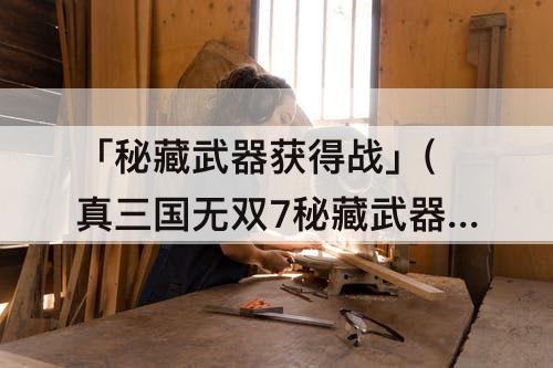 「秘藏武器获得战」(真三国无双7秘藏武器获得战)