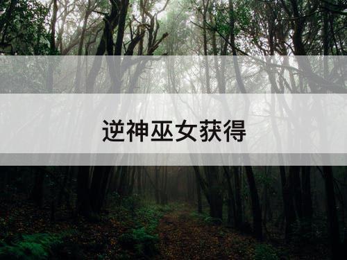 逆神巫女获得