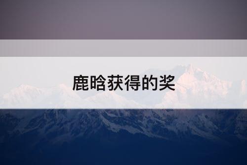 鹿晗获得的奖