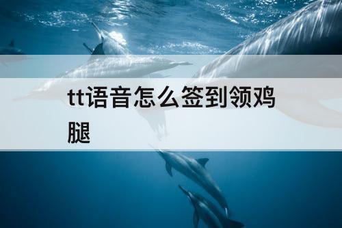 tt语音怎么签到领鸡腿