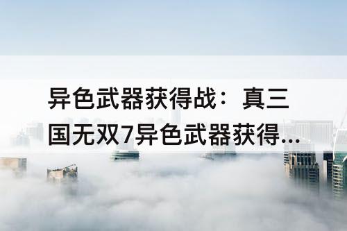异色武器获得战：真三国无双7异色武器获得战9