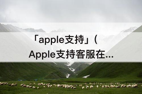 「apple支持」(Apple支持客服在哪)