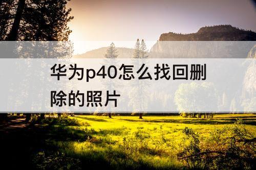 华为p40怎么找回删除的照片