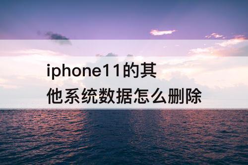 iphone11的其他系统数据怎么删除