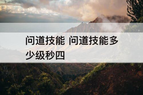 问道技能 问道技能多少级秒四