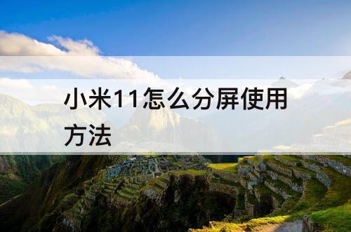 小米11怎么分屏使用方法