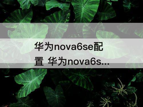 华为nova6se配置 华为nova6se配置图
