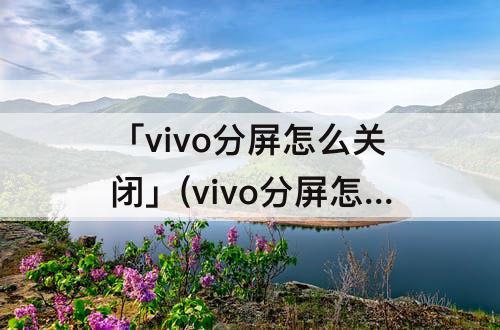 「vivo分屏怎么关闭」(vivo分屏怎么关闭还带关机)