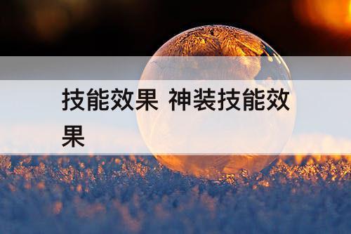 技能效果 神装技能效果