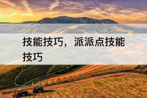 技能技巧，派派点技能技巧
