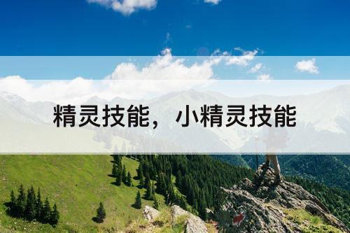 精灵技能，小精灵技能