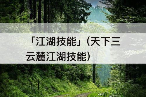 「江湖技能」(天下三云麓江湖技能)