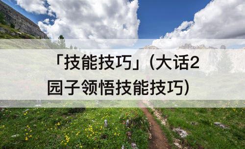 「技能技巧」(大话2园子领悟技能技巧)