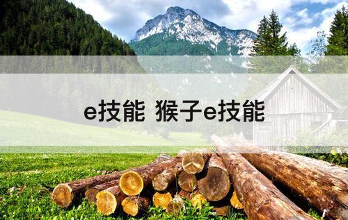 e技能 猴子e技能