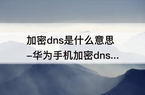 加密dns是什么意思-华为手机加密dns是什么意思