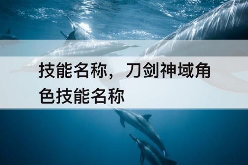技能名称，刀剑神域角色技能名称