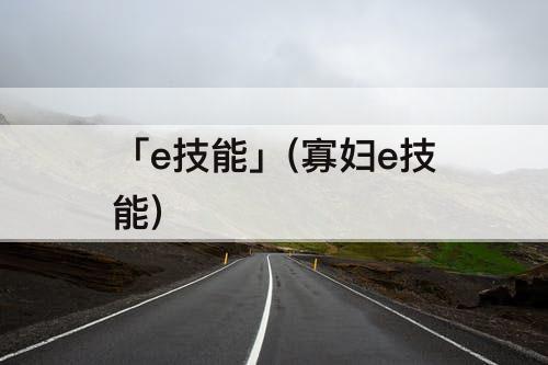 「e技能」(寡妇e技能)