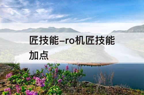 匠技能-ro机匠技能加点