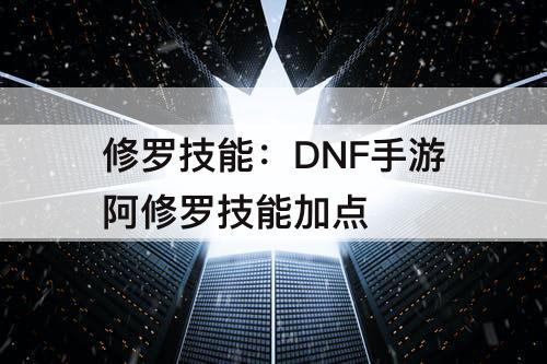修罗技能：DNF手游阿修罗技能加点