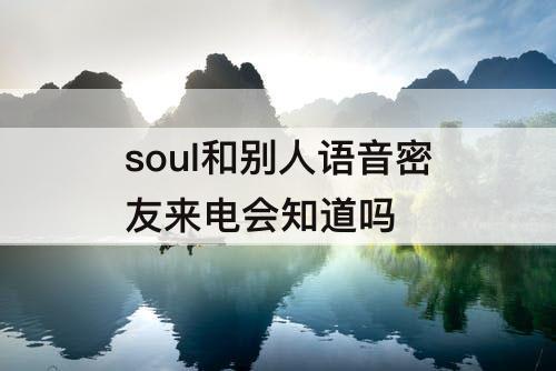soul和别人语音密友来电会知道吗