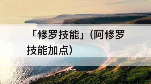「修罗技能」(阿修罗技能加点)