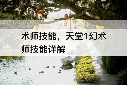 术师技能，天堂1幻术师技能详解