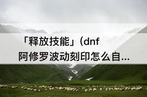 「释放技能」(dnf阿修罗波动刻印怎么自动释放技能)