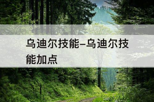 乌迪尔技能-乌迪尔技能加点