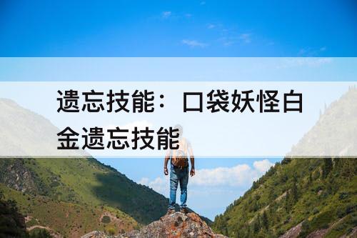 遗忘技能：口袋妖怪白金遗忘技能