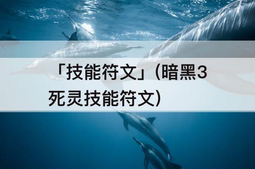 「技能符文」(暗黑3死灵技能符文)