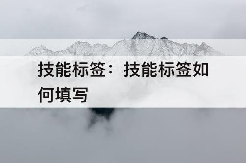 技能标签：技能标签如何填写