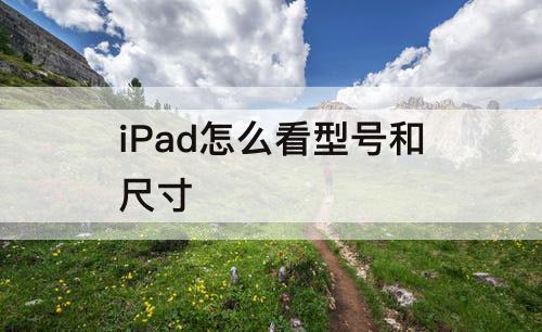 iPad怎么看型号和尺寸