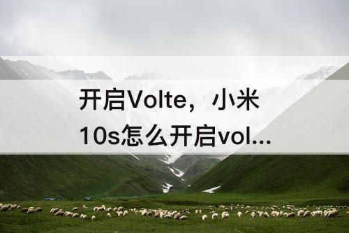 开启Volte，小米10s怎么开启volte功能