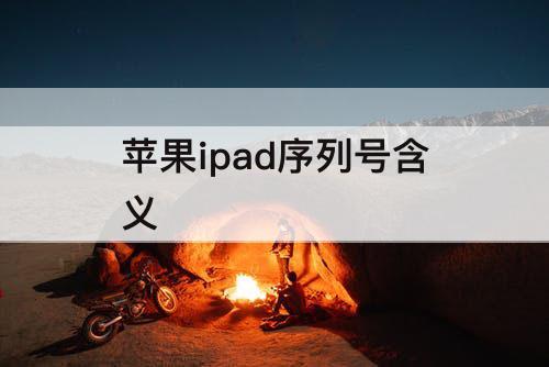 苹果ipad序列号含义