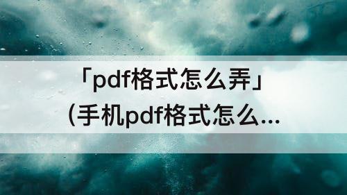「pdf格式怎么弄」(手机pdf格式怎么弄)