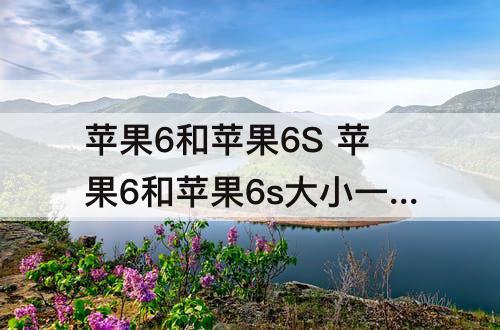 苹果6和苹果6S 苹果6和苹果6s大小一样吗