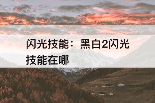 闪光技能：黑白2闪光技能在哪